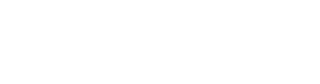 Naviforce Logo